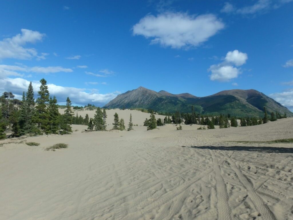 Désert de Carcross