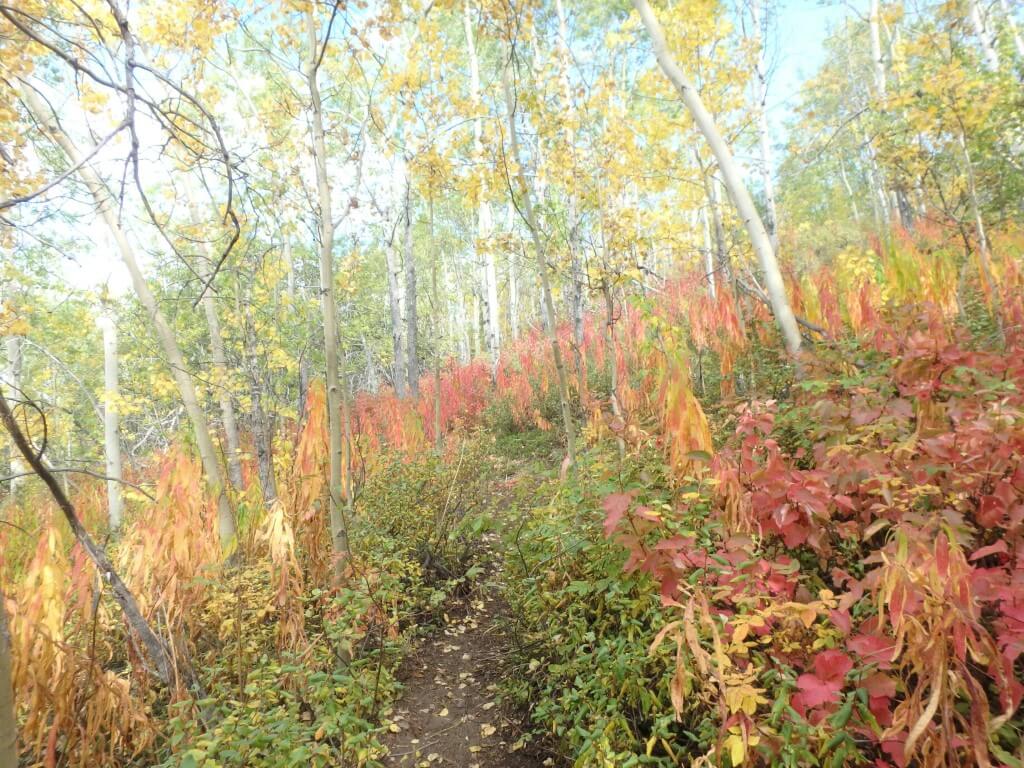 L’automne sur les sentiers de Nares Mountain