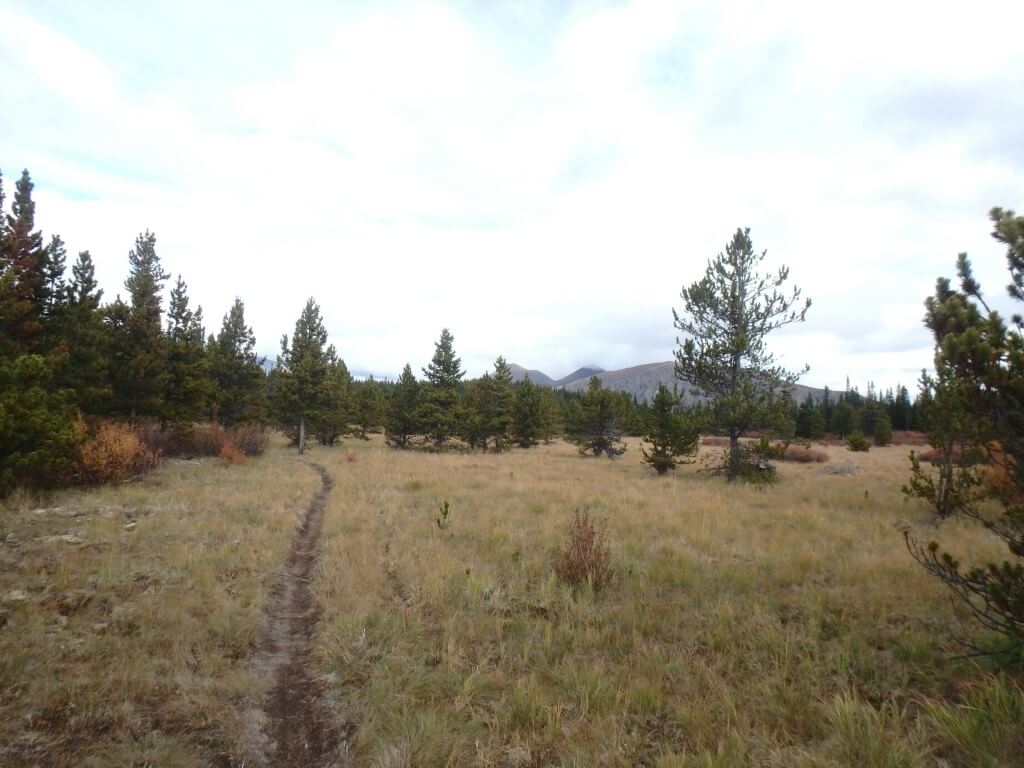 Rando VTT