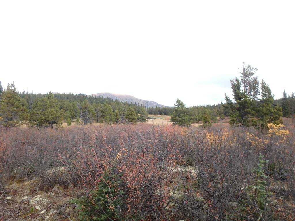 Rando VTT