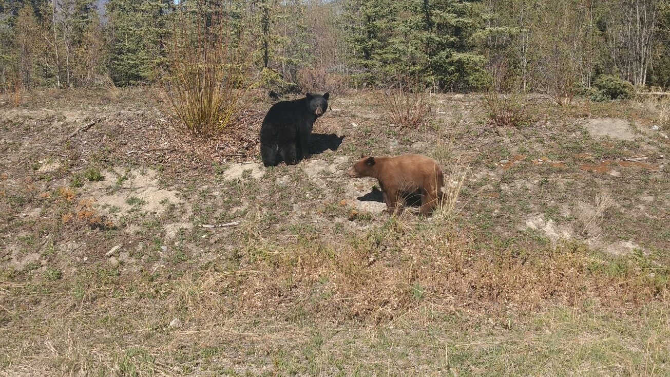 Ours