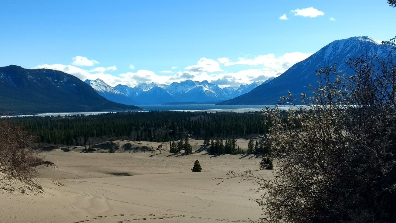 Le désert de Carcross